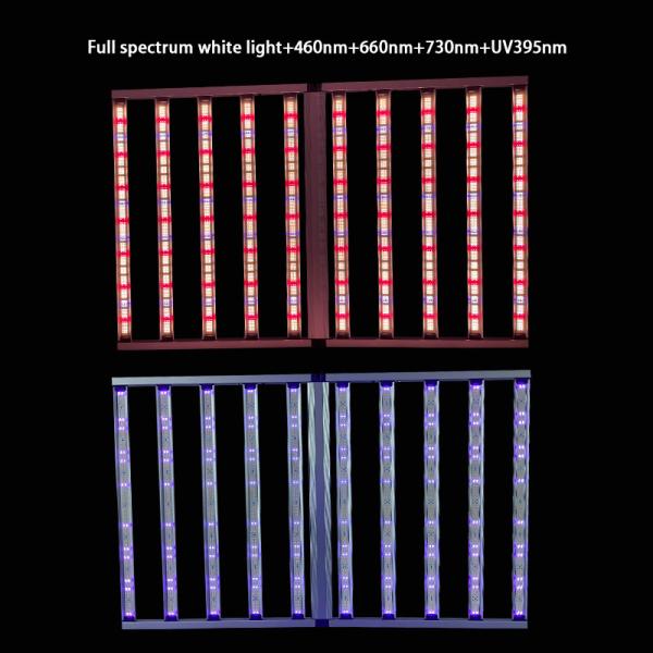 Optimize Your Harvest with 12 Strips Greenhouse LED Grow Lights Ppe 3.5 Umol/J