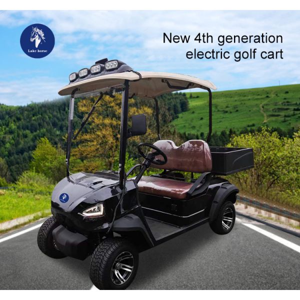 1-2 Seats DOT Electric Golf Carts with DOT Certification and Front LED Headlight