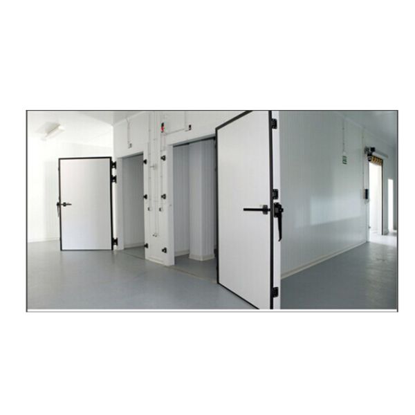 Grandes fábricas comerciales Instalación personalizada de almacenamiento en frío de verduras y frutas