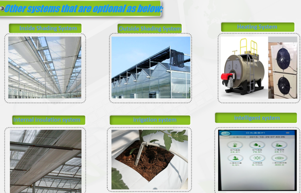 Venlo Glass Greenhouse for Eggplant Planting with Energy - Saving Design