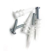 Âncoras de parede ocas plásticas do RUÍDO 10x33mm com jogo dos parafusos