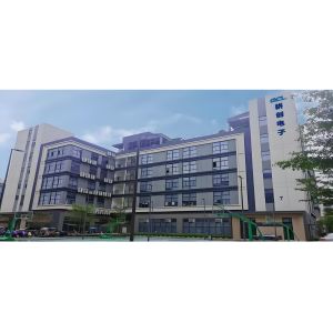 Shenzhen GCL Electronics Co., Ltd