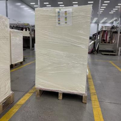Hoja de papel recubierta de PLA biodegradable para vasos de papel sostenibles