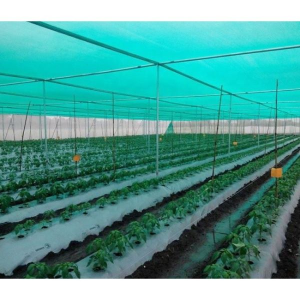 Plant Nursery Gardening Shade Mesh Debris Plain Agro Green Shade Net for Agricultural