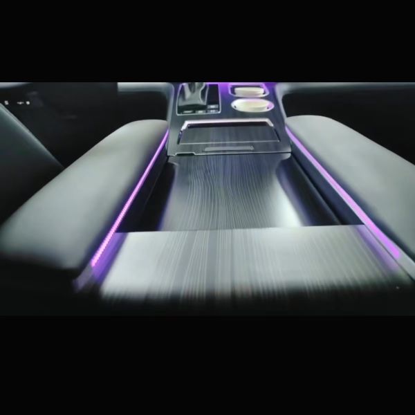 Electroplated Parts 29 Lights Phantom colored for Sienna Ambient Light(24 style）