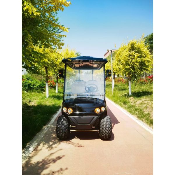 Black Six-Seater Customizable Electric Golf Cart With MacPherson Independent Suspension 4kw Lithium Battery 72v