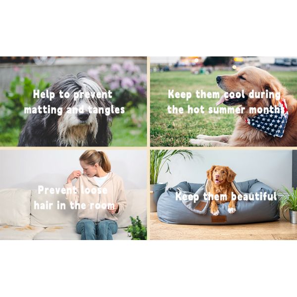 Уборщик волос для домашних животных 5 в 1 Вакуумная бритва для волос для ухода и подстрижки