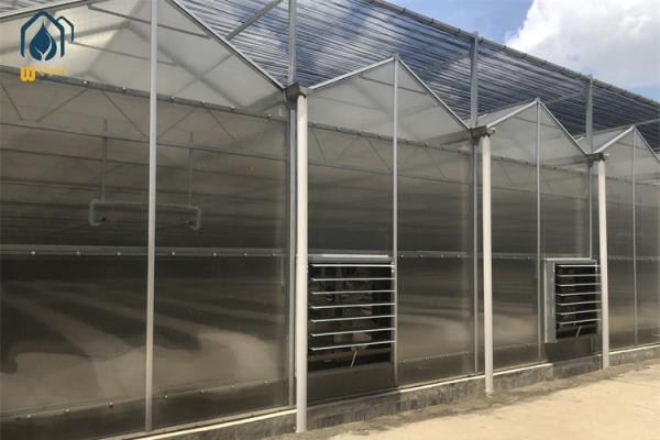 8m 9,6m 12m largeur de la portée serre hydroponique serre à chaud en acier galvanisé