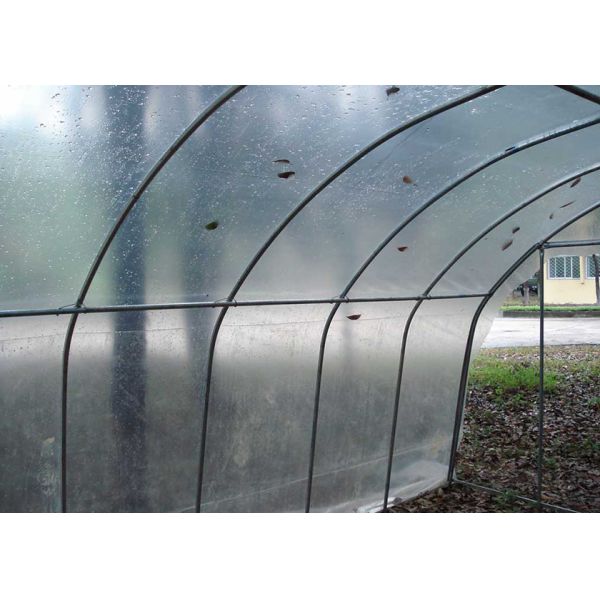 Lightweight Woven Mini DIY Greenhouse Transparent Materials For Indoor Outdoor