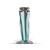 El blanquear consolidando el equipo multifuncional de la belleza del Massager de la cara 12W