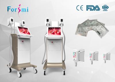 Best choice for body contouring,multiple sizes of handles,big size touch screen,simple OS,Cryolipolysis Slimming Machine