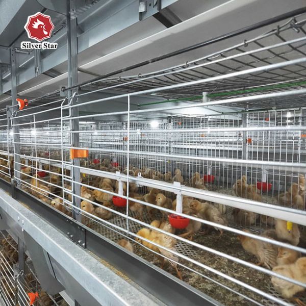 Птицы клетки 136 бройлера цыпленка мяса ярусов рамки 4 h