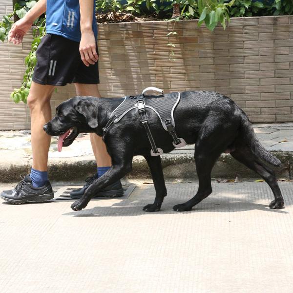 Factory Selling Comfortable Dog Harness With Reflective Strips Durable Polyester Leash Set For Pet Dog