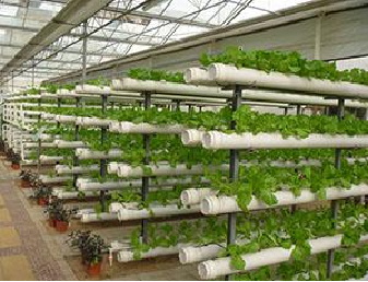 Easy Installation Customized Agricultural Greenhouses With LED Lighting
