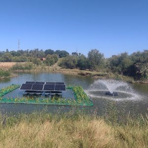 Solar Powered Pond Aerator