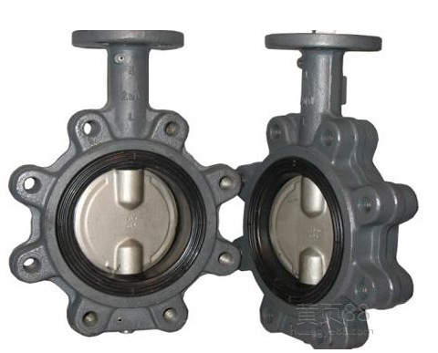 Lug Type Casting Iron Material Concentric Butterfly Valves NPS2