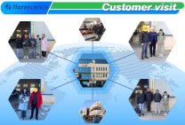 Carro de golf eléctrico utilitario de 4+2 plazas compatible con OEM, carrito de golf eléctrico, batería de litio de 70 V