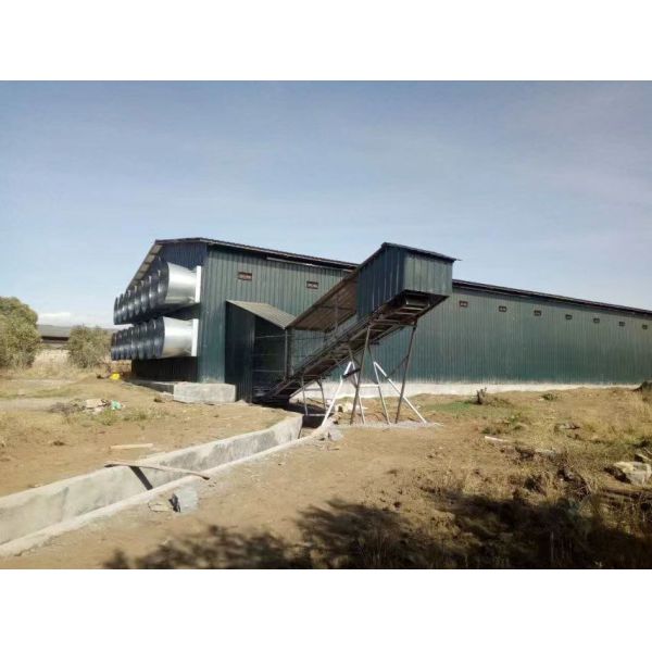 Бесплатный Дом Руководство 4 уровень А Тип Яйцевой слой Куриная клетка 160 Птицы Вместимость