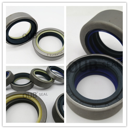 3765756M1 7600100501 COMBI SF6 SF8 RWDR-KOMBI 45*65*18.5 45*65*25 Tractor Shaft Oil Seal 45*60*16 2110602001 51726