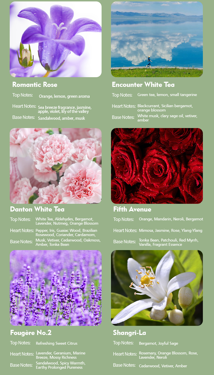 500ml Capacity Portable Aroma Diffuser Essential Oil Diffuser For Household Hotel