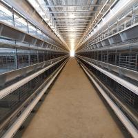 oiseaux de la cage 144 de volaille de poules d'oeufs de batterie de 1800x1200x2140mm/ensemble