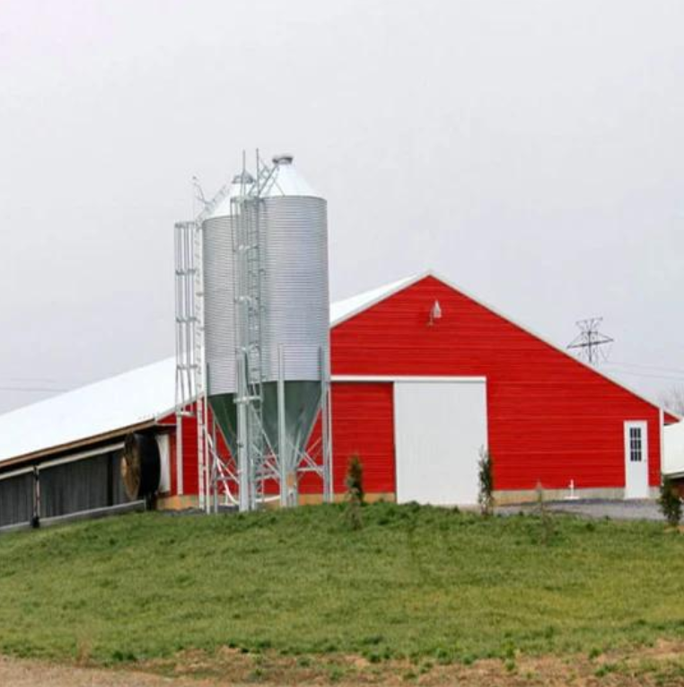 Malaysia Poultry Farm House Design with Hot-dip Galvanized Steel Structure and Automatic Nipple Drinking System
