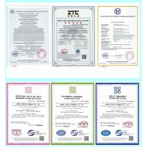 Wuzhou (Shandong) Automobile Co., LTD Сертификации