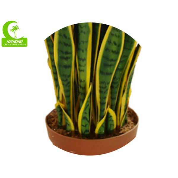 Planta suculento artificial de H100cm