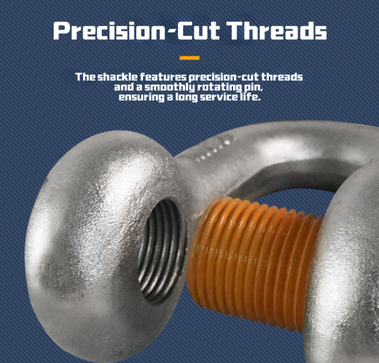 Dip Galvanized American Type Shackle with 110 V Voltage and 40Cr-Body & Pin for Heavy-Duty Lifting