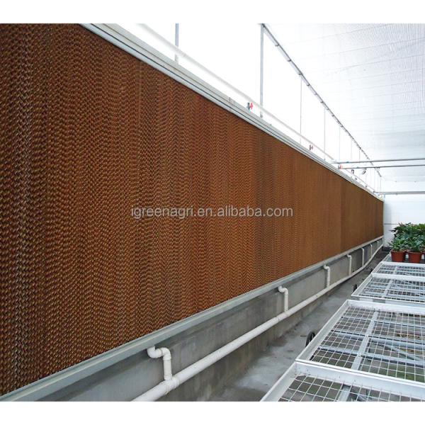 Tomato Growing Agricultural Equipment Roof Vent Free Multi Span Greenhouse