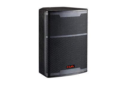 12 Birch Plywood Live Sound Speakers Power Pro Audio Speakers For Church