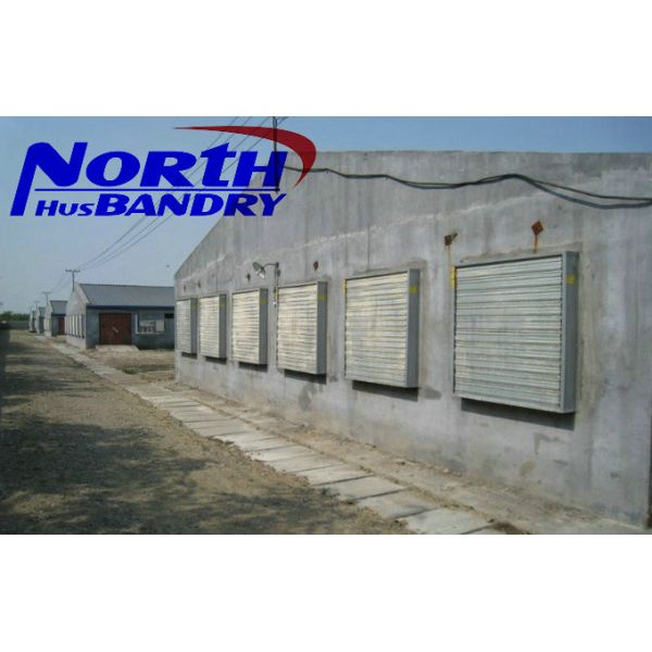 injection of poultry