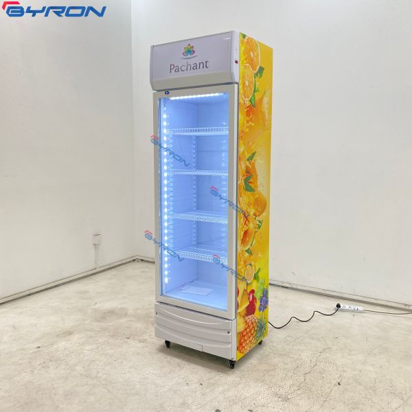 Freestanding Commercial Glass Front Refrigerator See Through Refrigerator