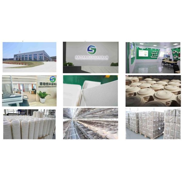 Green Olive Environmental Technology Co., Ltd.