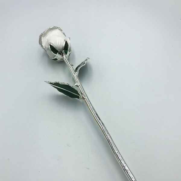 Silver Trimmed  Real Roses Romantic Gifts Beautiful Flower Decoration Hot Sale