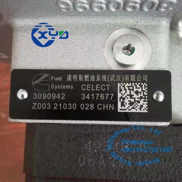 Cummins M11 Diesel Engine Oil Pumps 3090942 3417677 Excavator Parts