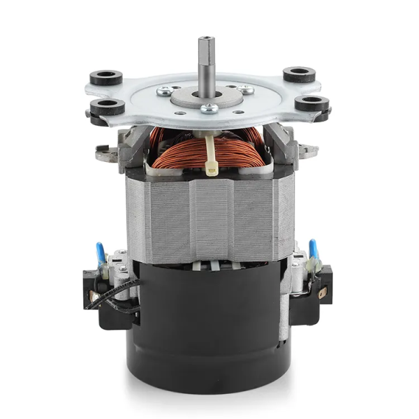 IE 1 Efficiency 110V 220V AC Treadmill Motor Machine 50/60Hz Single-Phase AC Motor