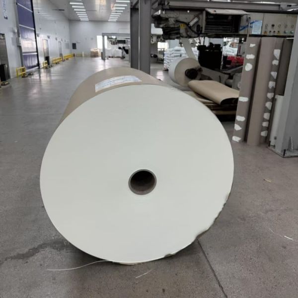 High Quality White Laminated Paper Roll for Cup Making Factories Factory Direct Hot Selling Wholesale