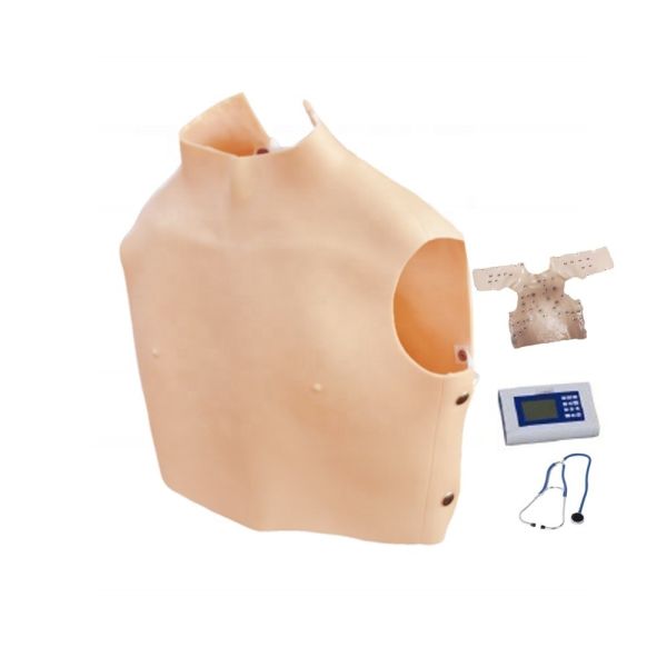 Patients Care Demonstration Cardiopulmonary Auscultation Simulator with Advanced PVC