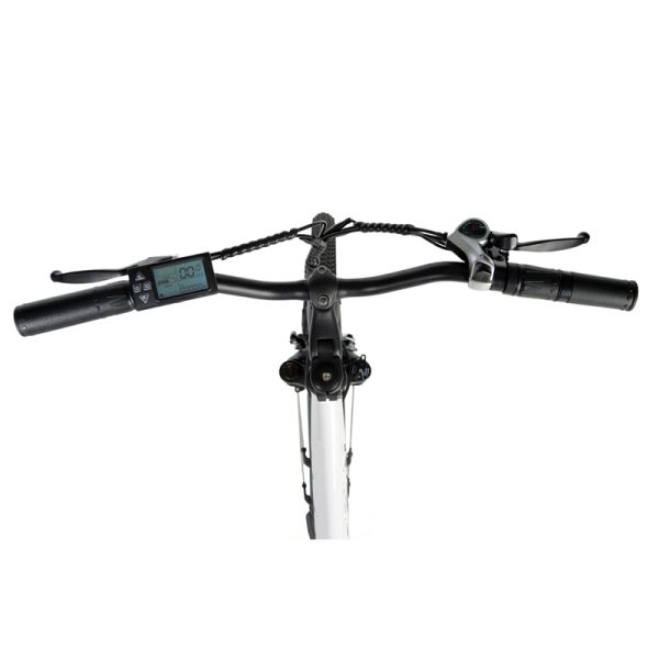 DOMANCA 750w Lady Electric Bike Sensor Smart Type and 18 Speed Gears for City Riding