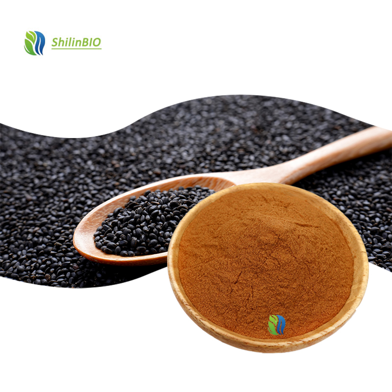 SLBIO Supply Black Sesame Extract Powder 10:1 20:1 30:1 Food Grade