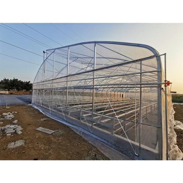 Agriculture Single Span Greenhouse Easy Installation Galvanized Steel Greenhouse