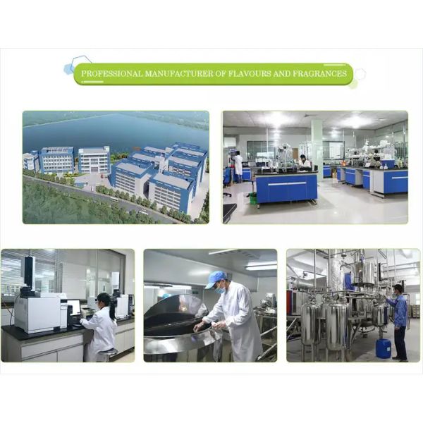 Bulk Pure France Famous Brand Perfume Fragrance Oil