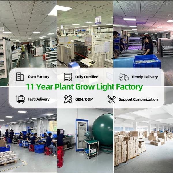 Customized Samsung LM301h Evo Chips Three Channels Dimmable 10 Bar 1100W Led Grow Light Full Spectrum with UV IR
