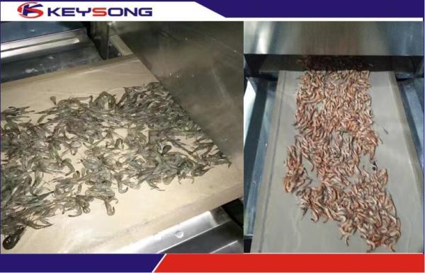 Seafood Microwave Drying Machine High Efficiency  , Industrial Microwave Drying Equipment