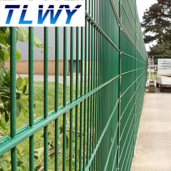 6/5/6mm Double Wire Welded Mesh Fence Powder Coated 50*150mm