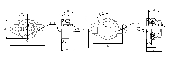 Cast Iron Housing UCFL 300 Series 2 Hole Flange Bearing