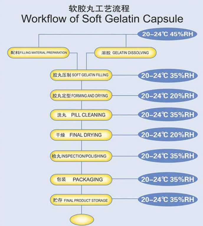 Машинное оборудование упаковки Softgel/косметики Pharma переключателя PLC + HMI автоматическое
