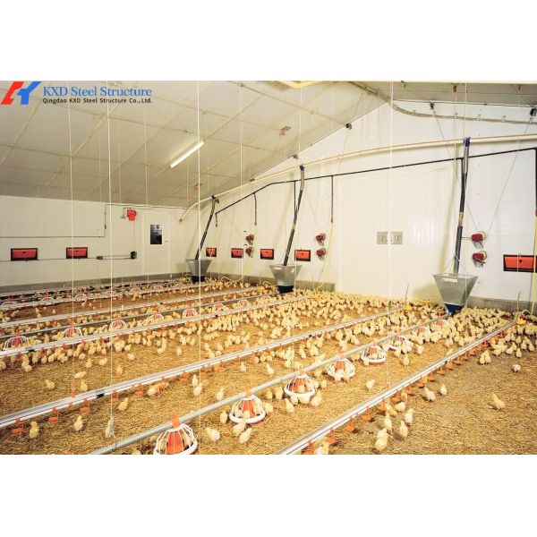 Q235/Q355 Steel Structure Poultry House with Sandwich Panel Roof