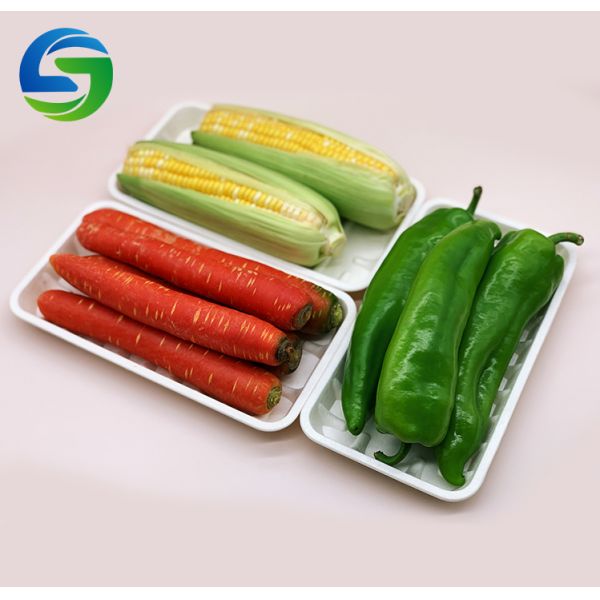 Heat Resistant Square  22g 24×13×2cm Corn Starch Plates